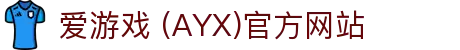爱游戏官网-AYX GAMING